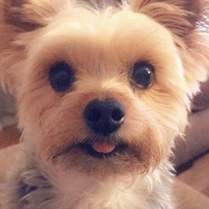 Meet your Posher, Lee ann